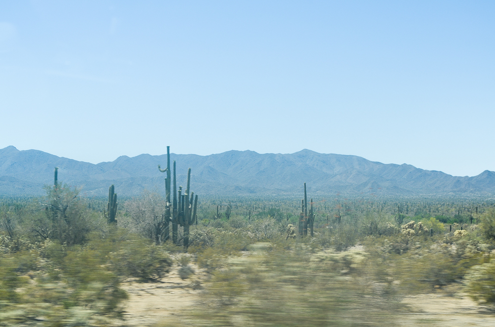 untitled-106.jpg