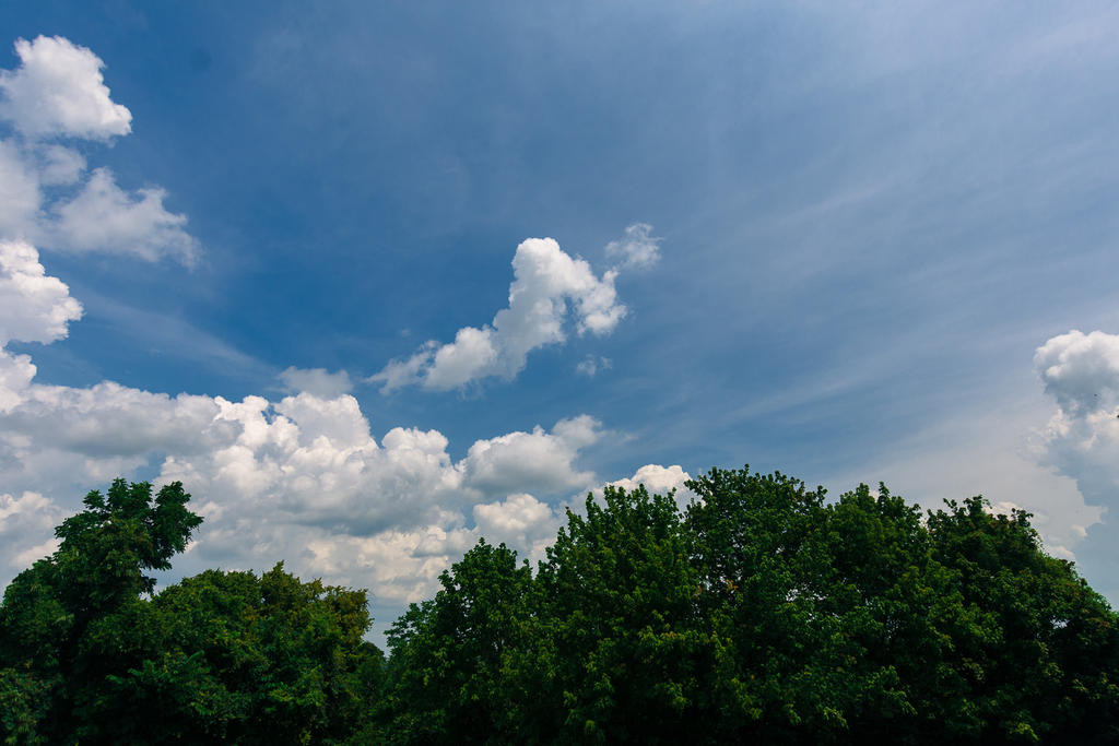 untitled-1282.jpg