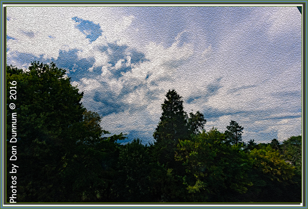 untitled-2352-Edit.jpg