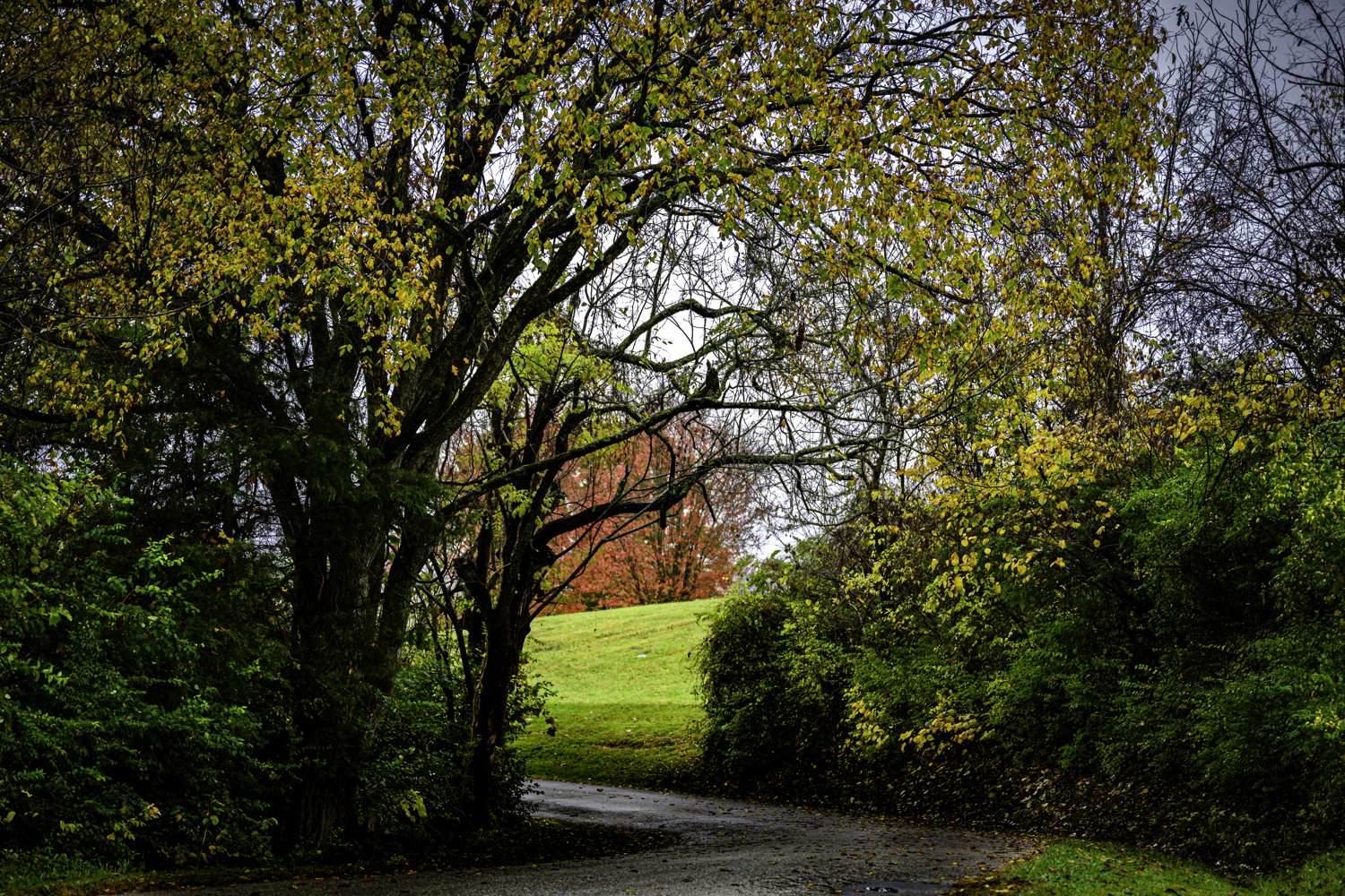 untitled-2801-2.jpg