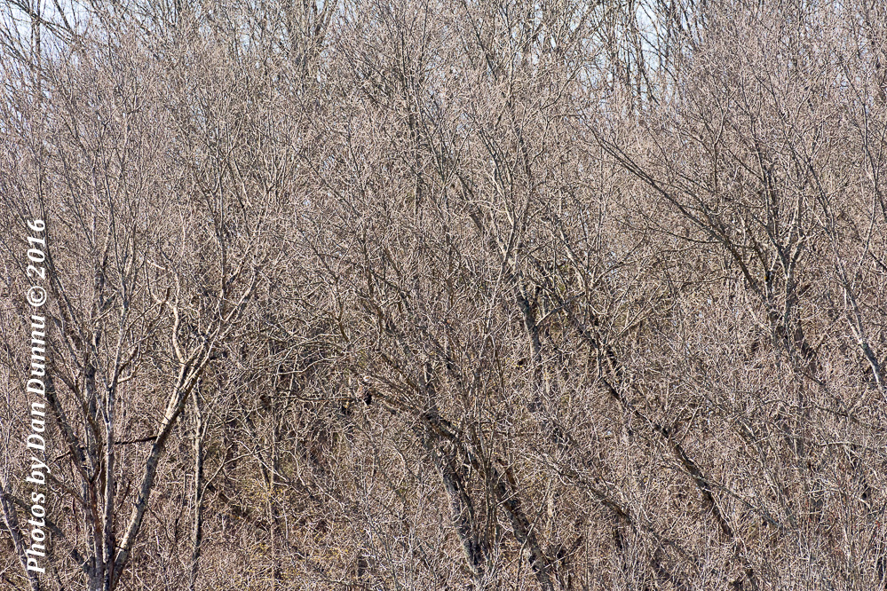 untitled-3690.jpg