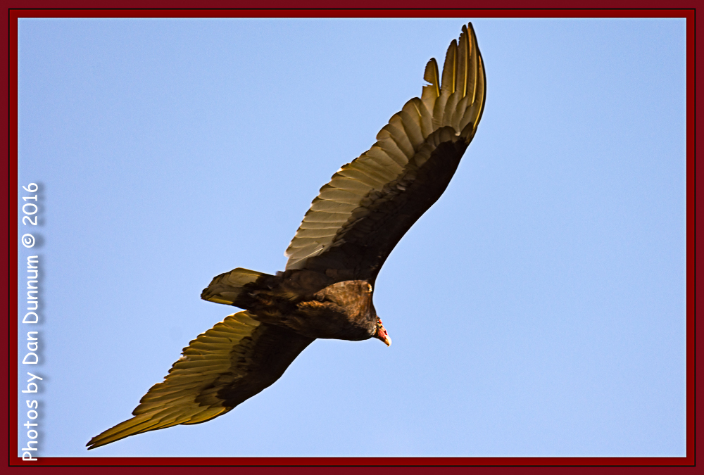 untitled-4529-Edit.jpg