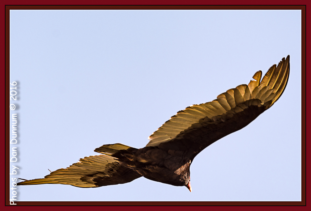 untitled-4531-Edit.jpg