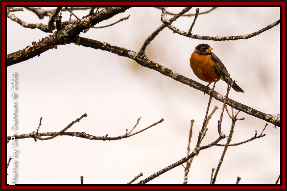 untitled-4725-Edit.jpg