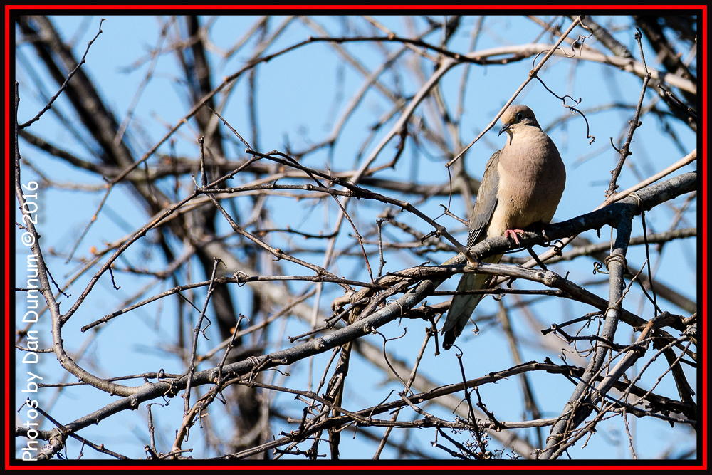 untitled-4877-Edit.jpg