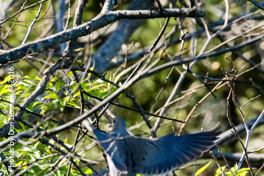 untitled-4879-Edit.jpg
