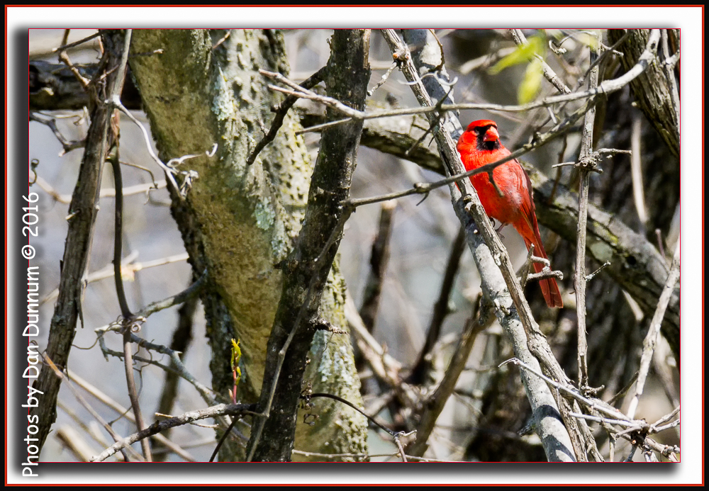 untitled-4912-Edit.jpg
