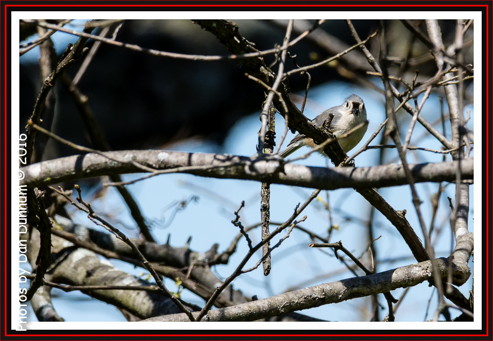 untitled-4926-Edit.jpg