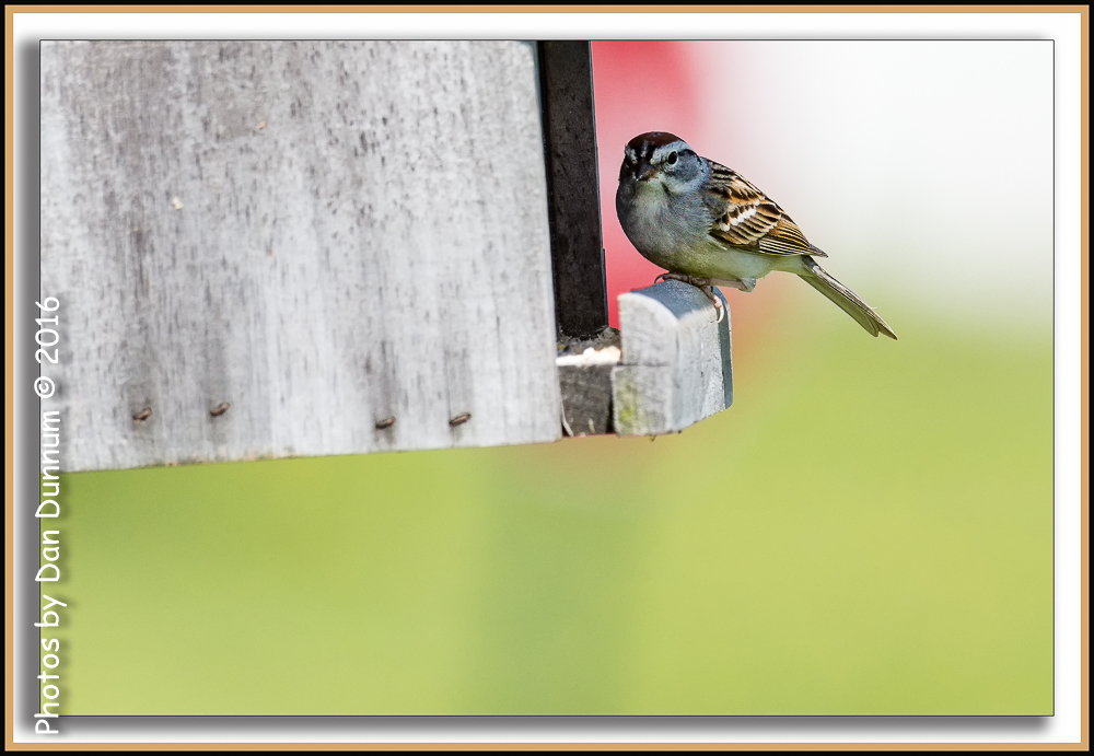 untitled-4928-Edit.jpg