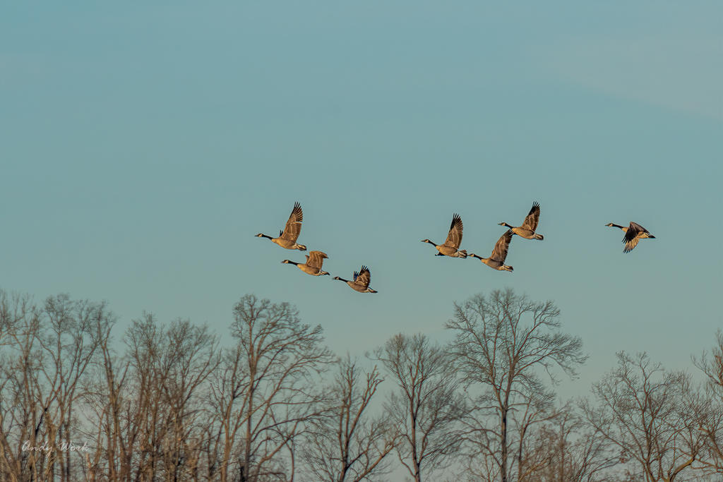 untitled-500590.jpg