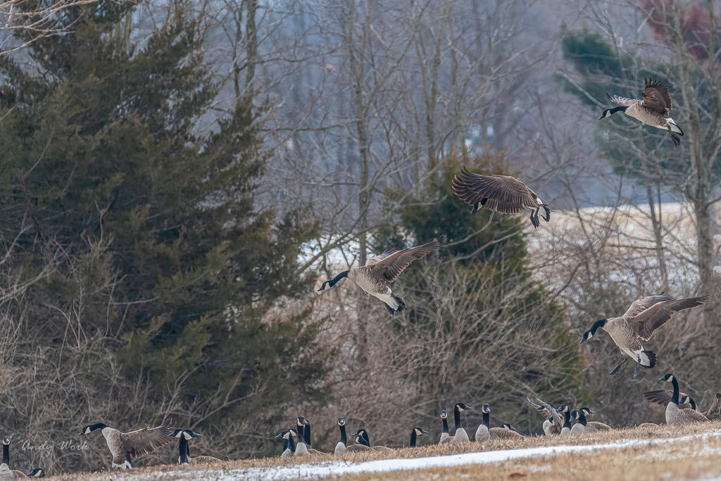 untitled-501143-Edit-Edit.jpg
