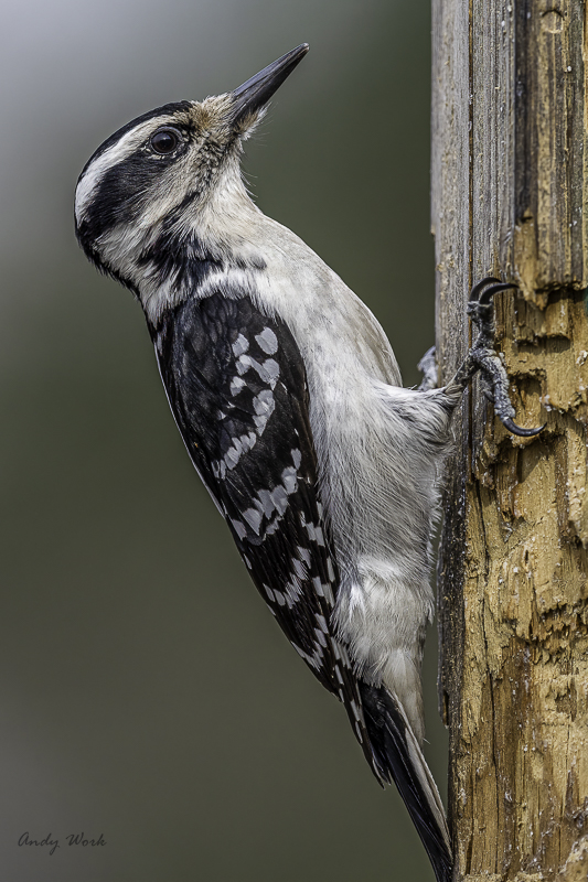 untitled-502329-Edit.jpg
