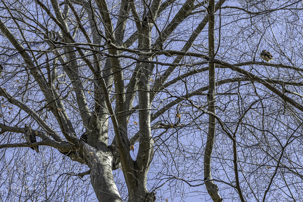 untitled-502845.jpg