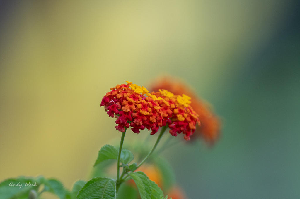 untitled-509145-Edit-2.jpg