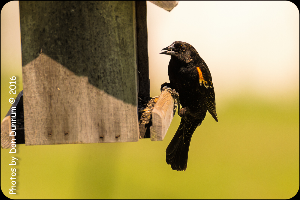 untitled-5844-Edit.jpg
