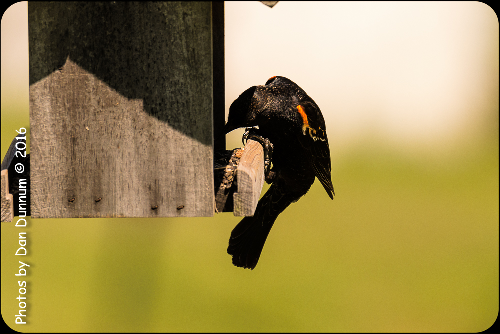 untitled-5850-Edit.jpg