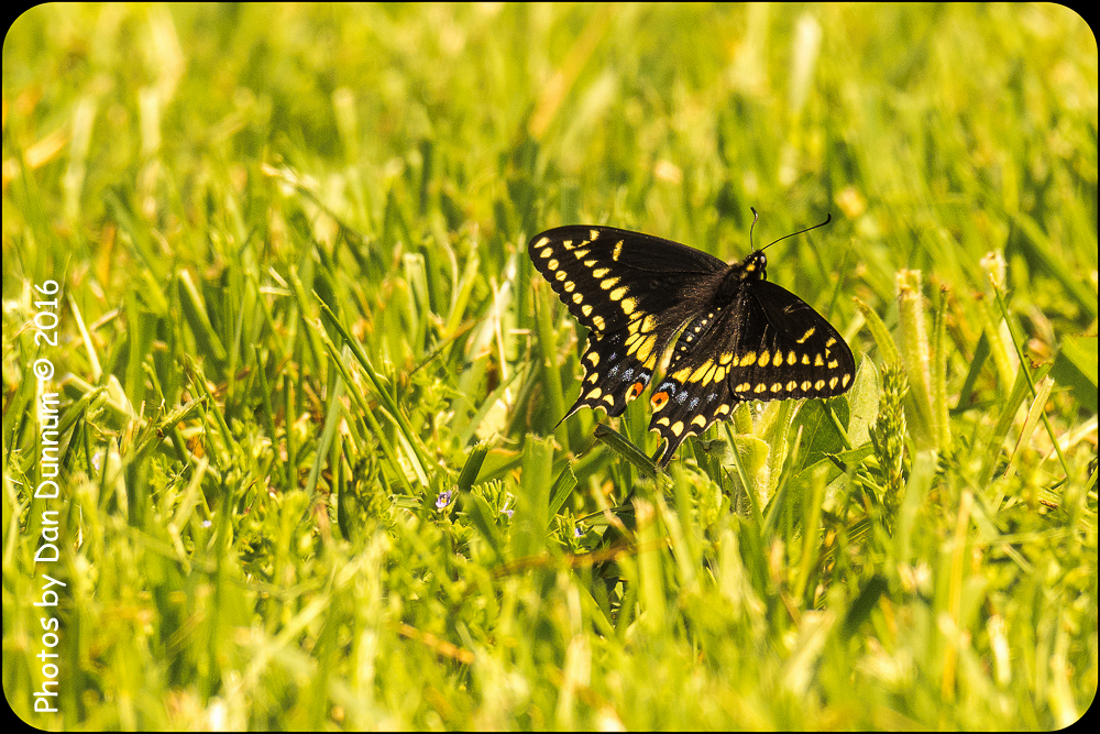 untitled-5866-Edit.jpg