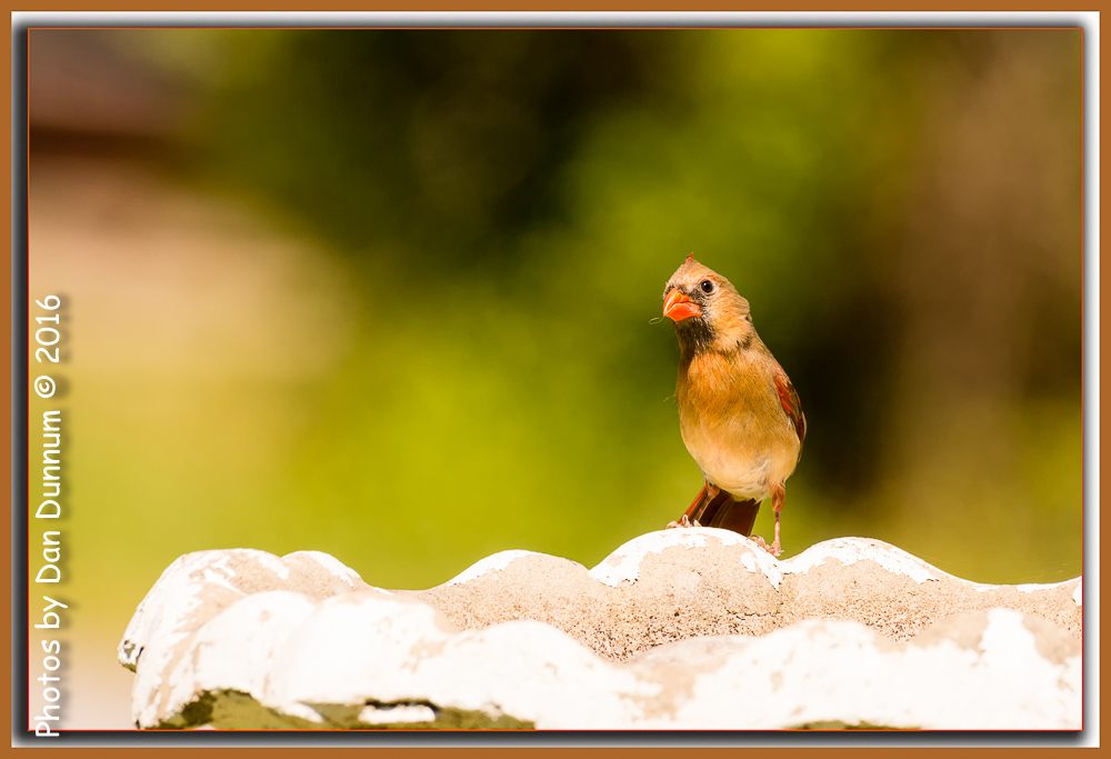 untitled-5892-Edit.jpg