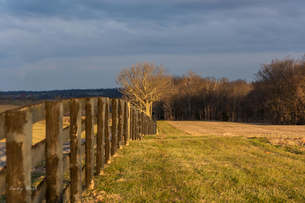 untitled-6315.jpg