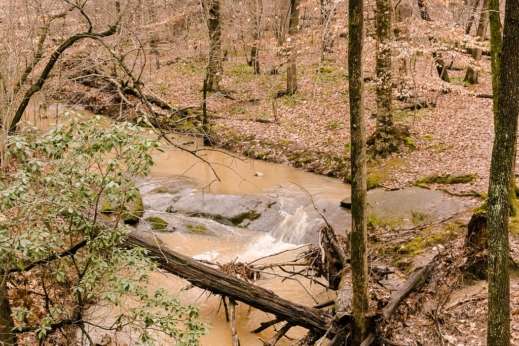 untitled-74.jpg