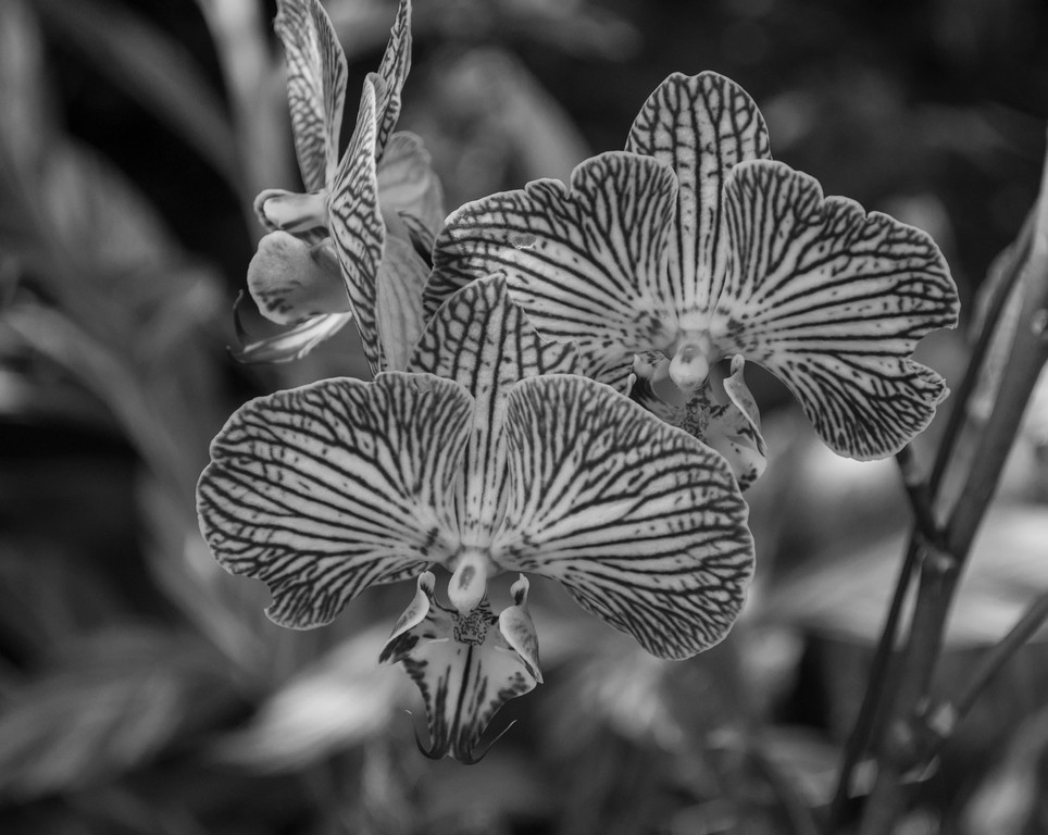 untitled shoot-0008-2.jpg