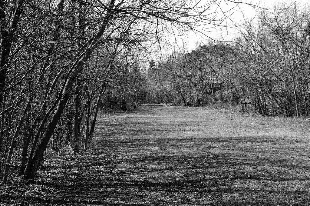 untitled shoot-0022.jpg