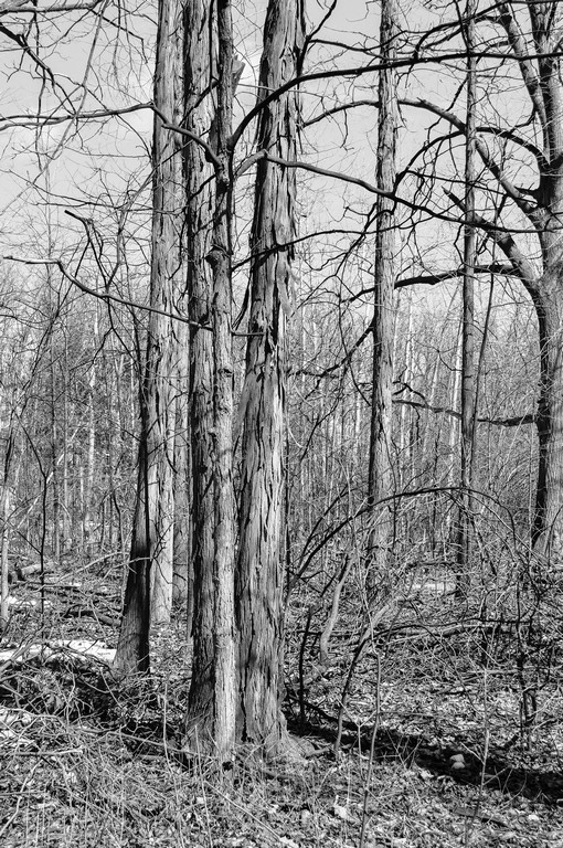 untitled shoot-0030.jpg