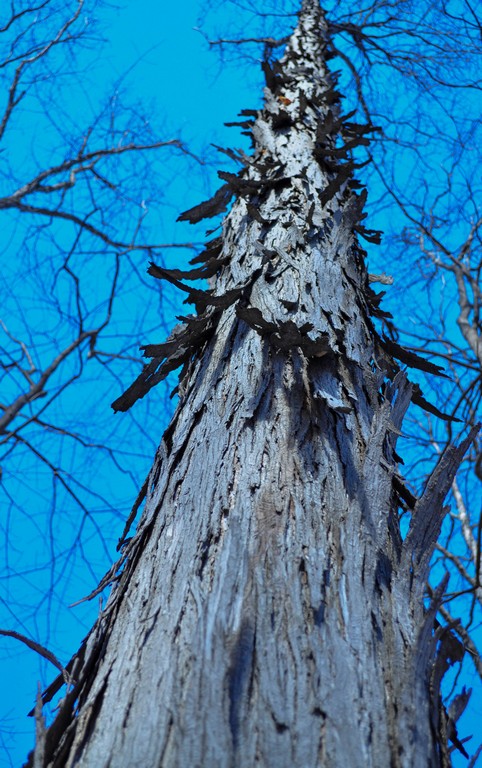untitled shoot-0037.jpg
