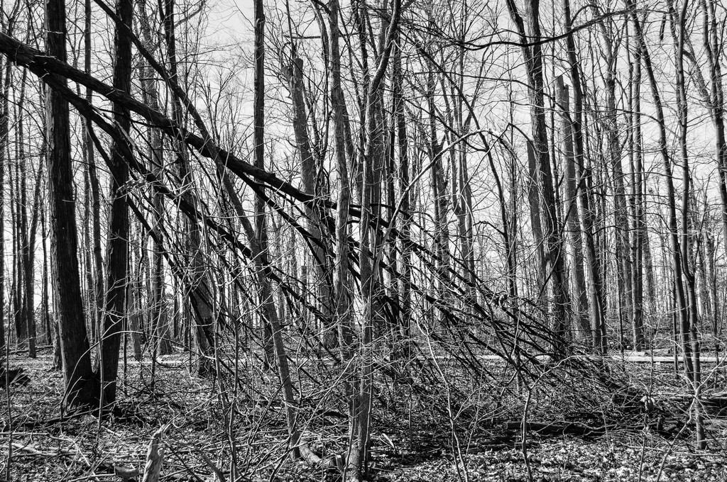 untitled shoot-0038.jpg