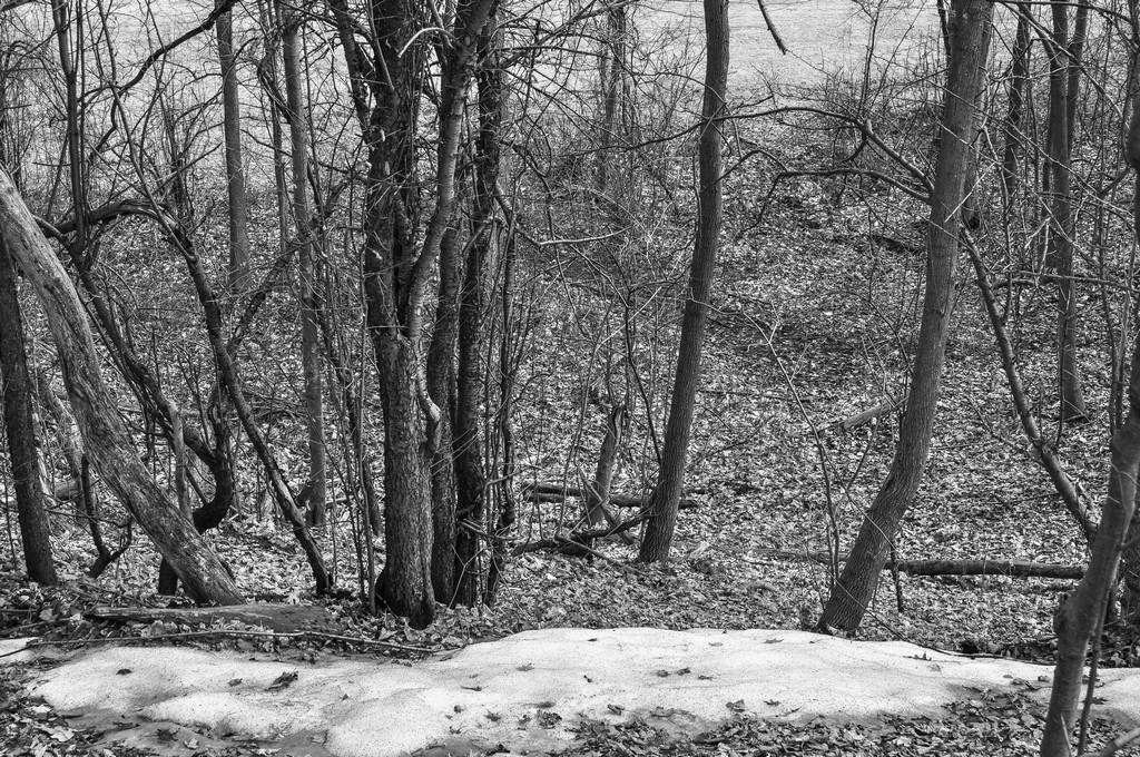 untitled shoot-0042.jpg