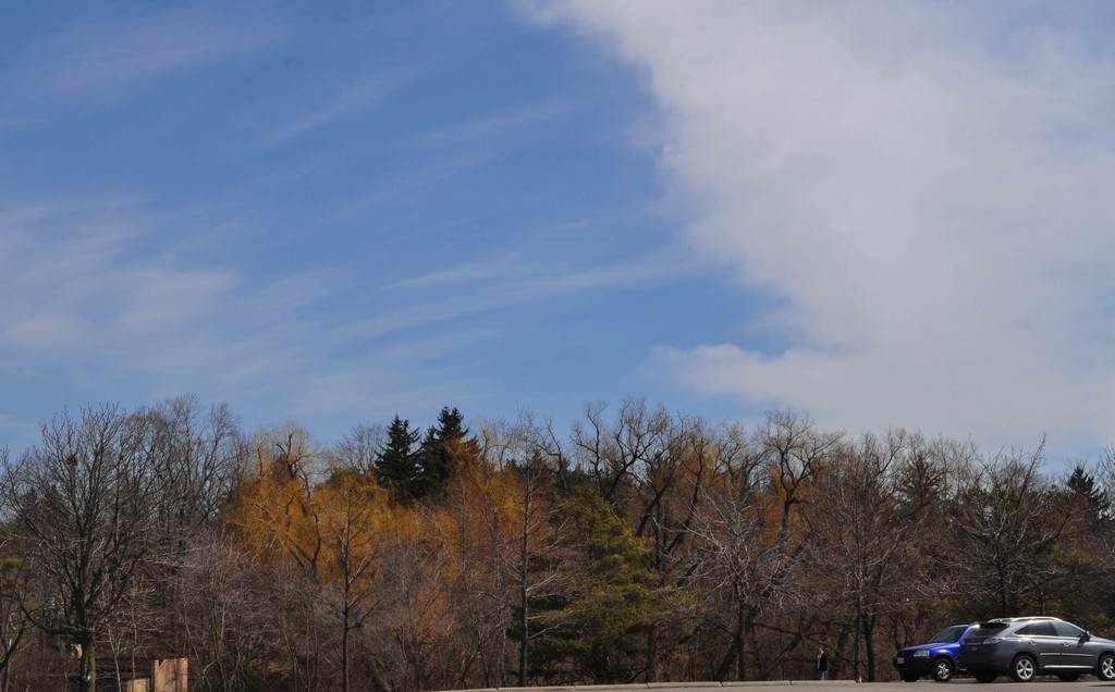 untitled shoot-0051.jpg