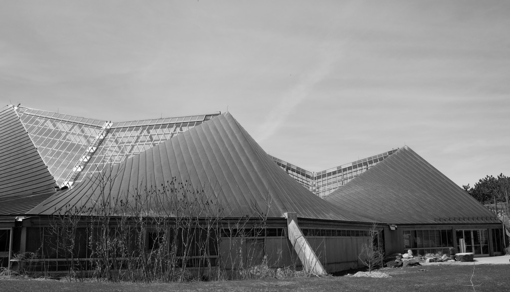 untitled shoot-0052-2.jpg