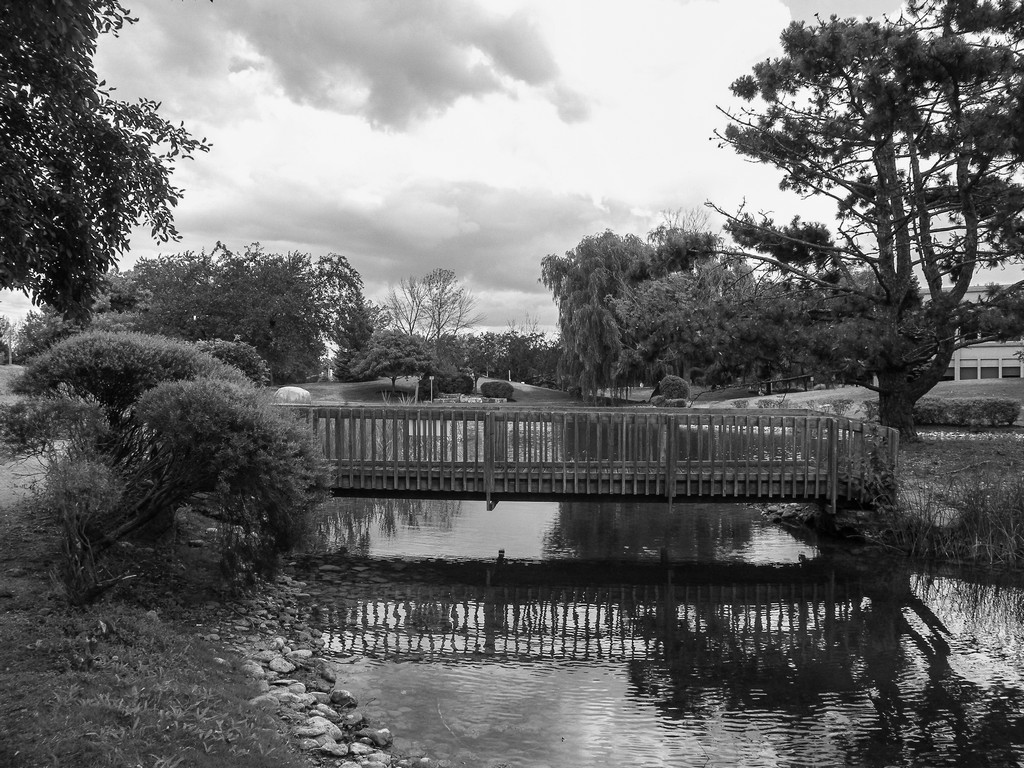 untitled shoot-0054-2.jpg