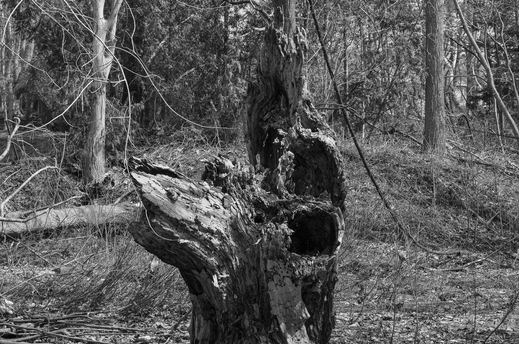 untitled shoot-0075.jpg