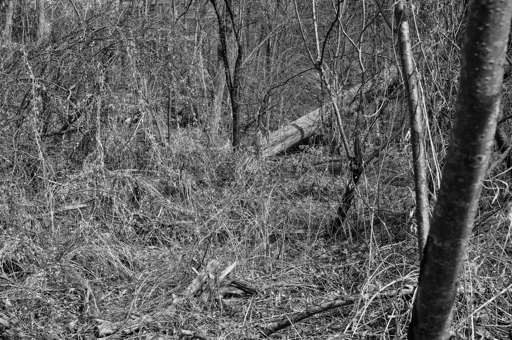 untitled shoot-0082.jpg