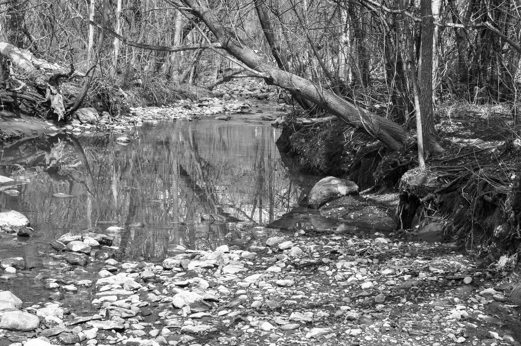 untitled shoot-0093.jpg