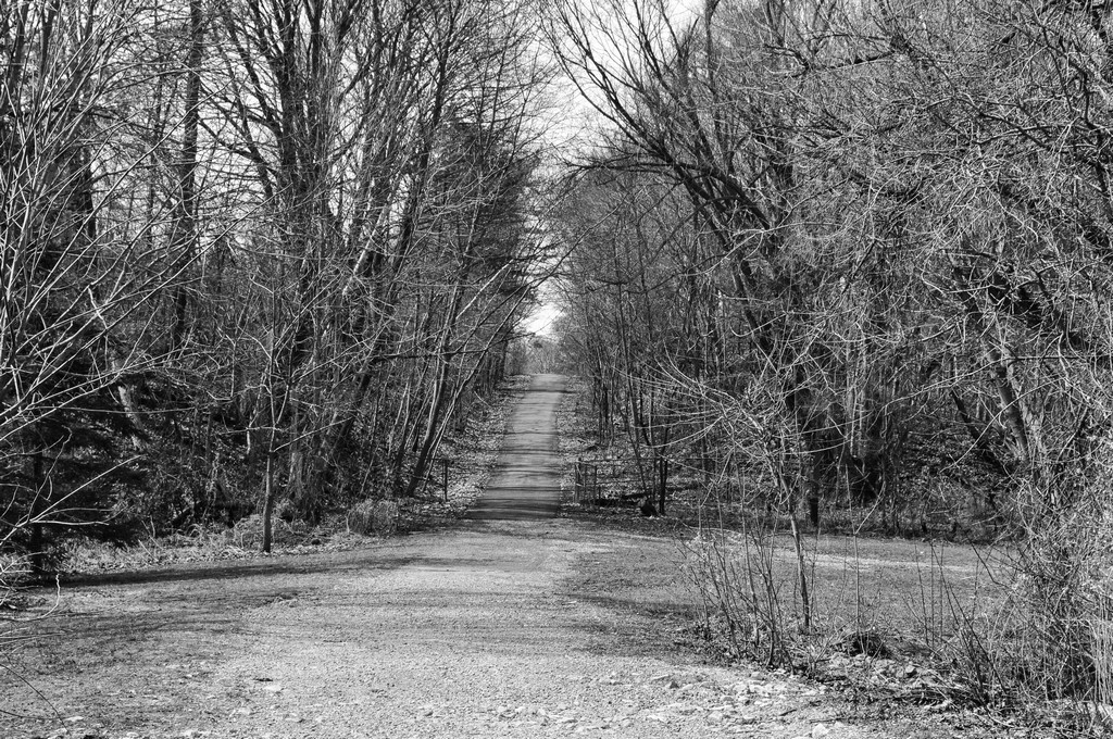 untitled shoot-0106.jpg