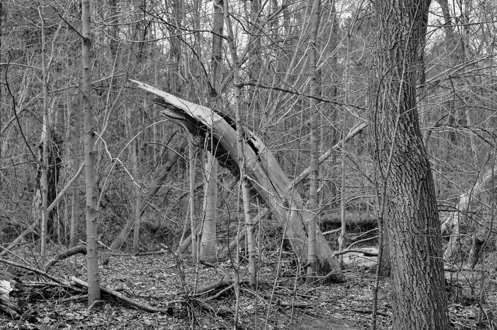 untitled shoot-0175.jpg