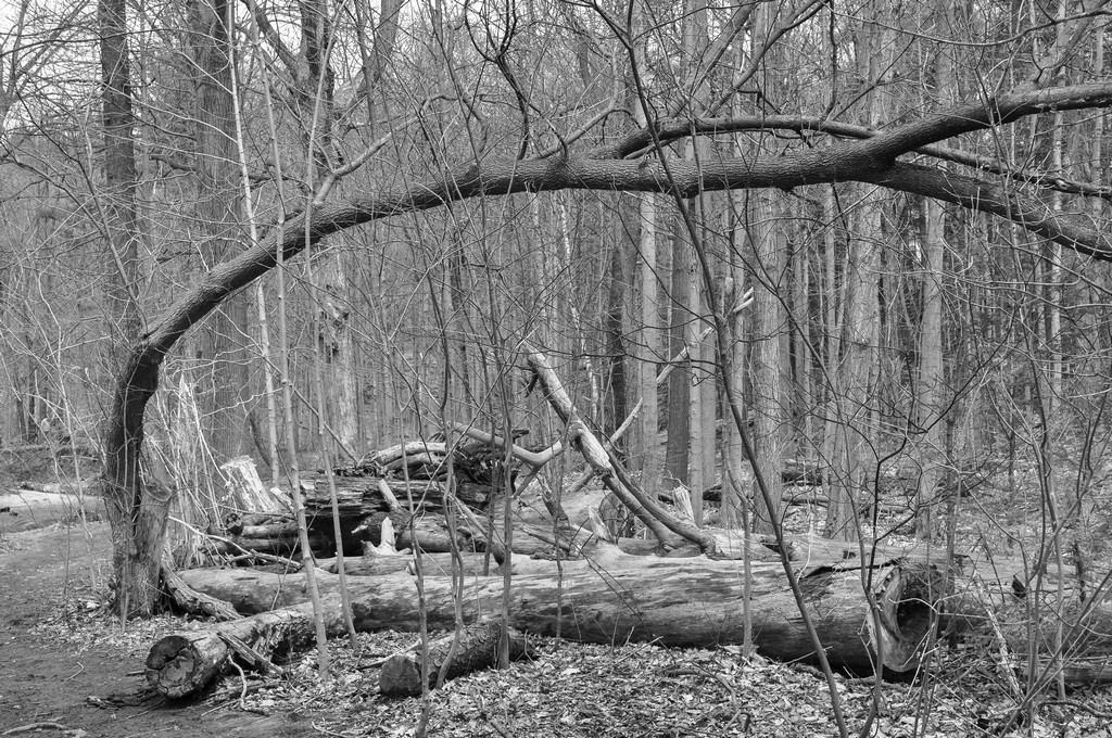 untitled shoot-0191.jpg