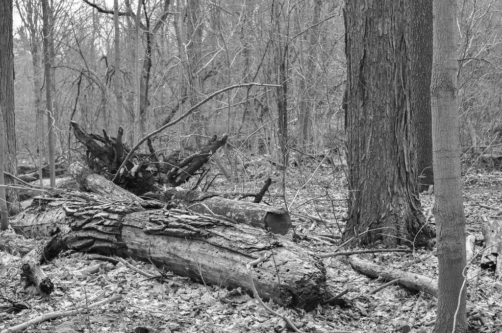 untitled shoot-0194.jpg