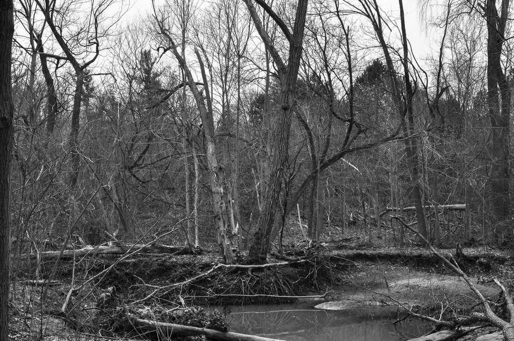 untitled shoot-0197.jpg