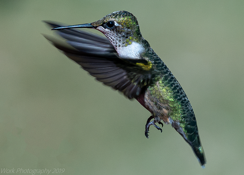 untitled shoot-0348-Edit.JPG