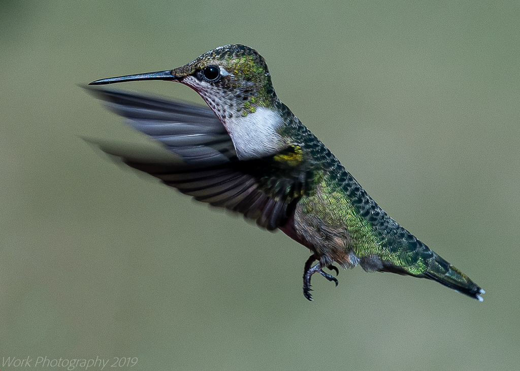 untitled shoot-0349-Edit.JPG