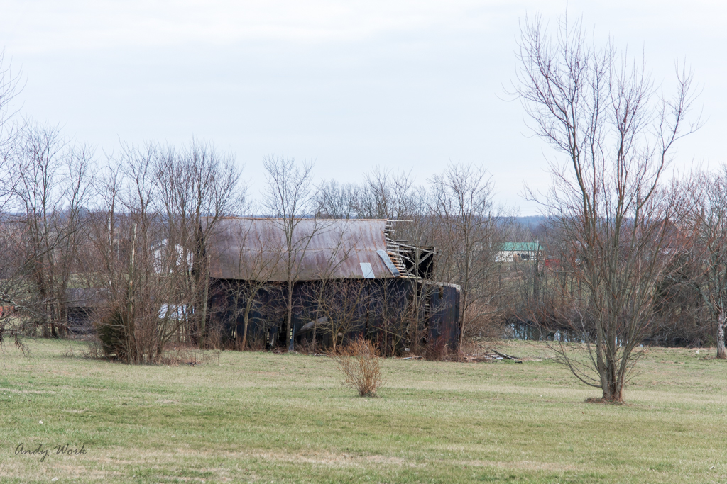 untitled shoot-0352.JPG