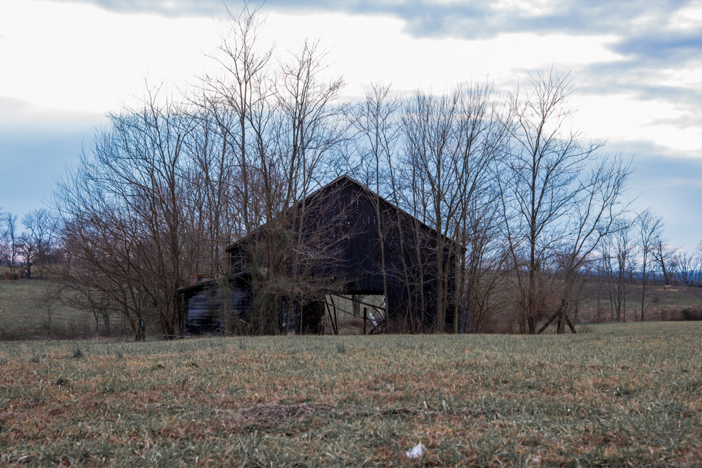 untitled shoot-0355.JPG