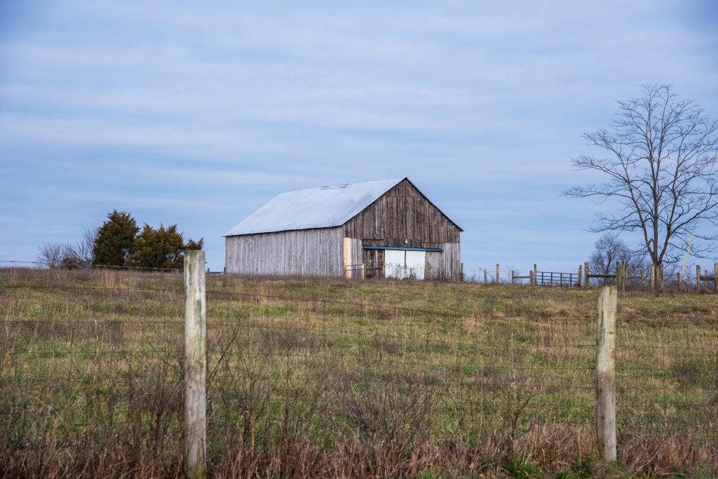 untitled shoot-0356-Edit.JPG