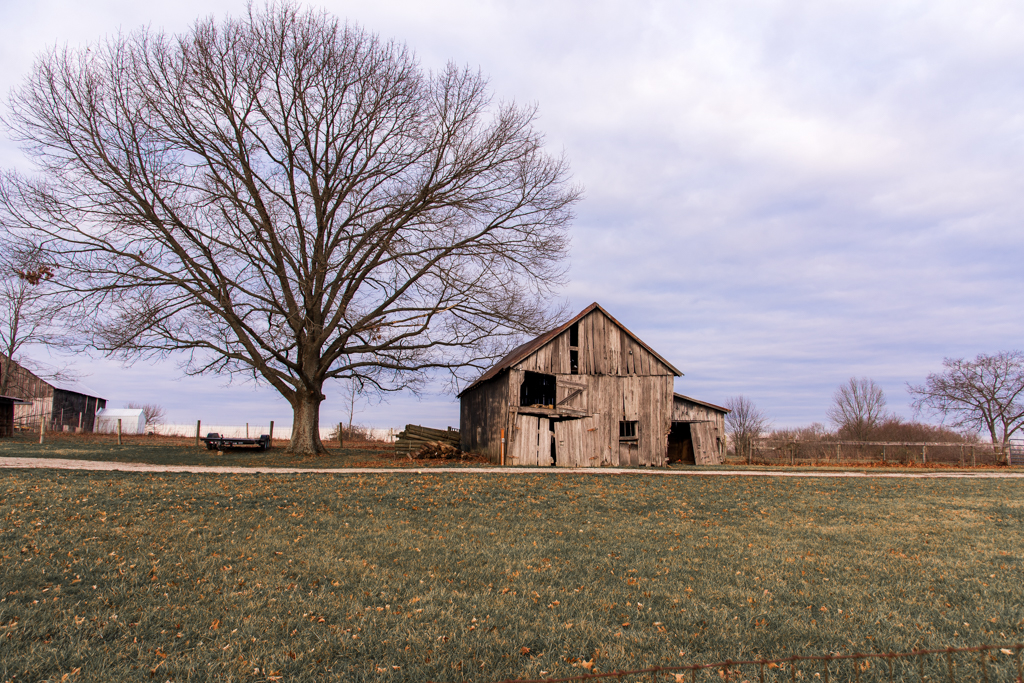 untitled shoot-0358.JPG