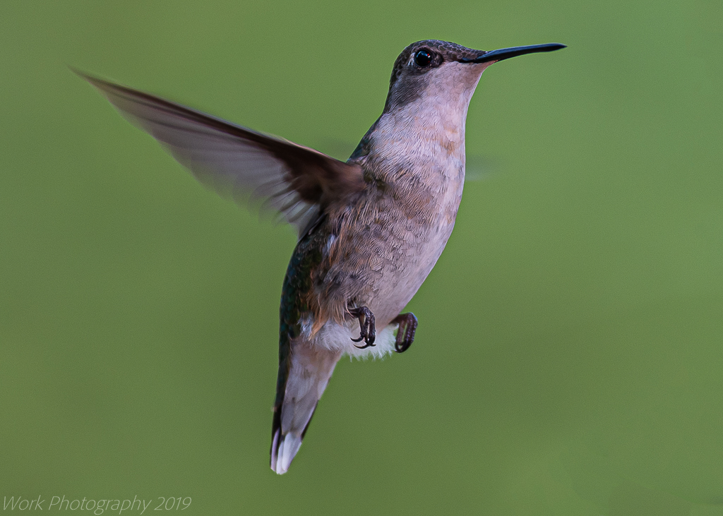 untitled shoot-0364-Edit.JPG