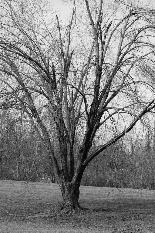untitled shoot-4078.jpg