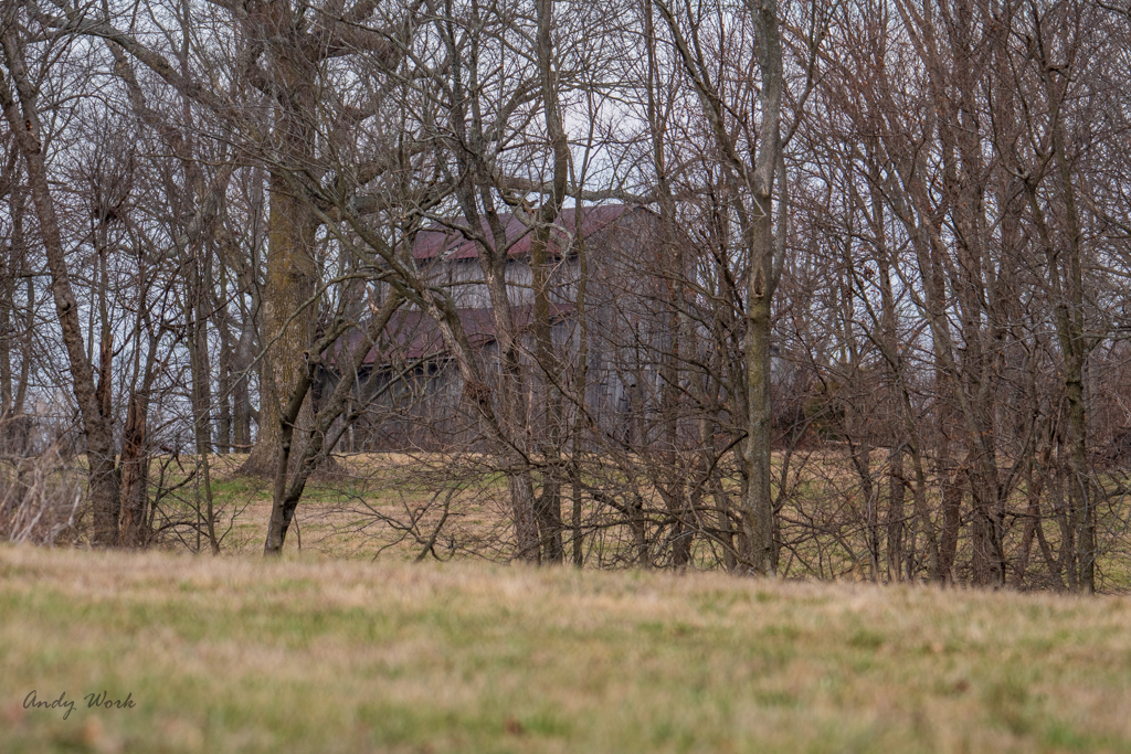 untitled shoot-4165.JPG